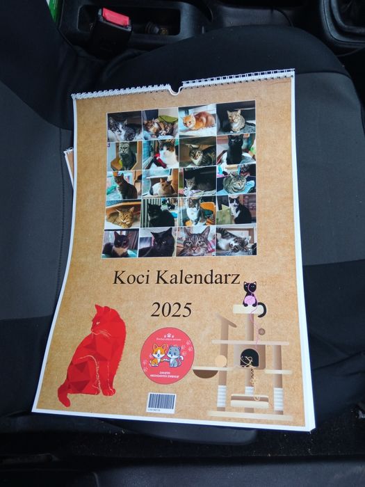 Koci kalendarz 2025 A1