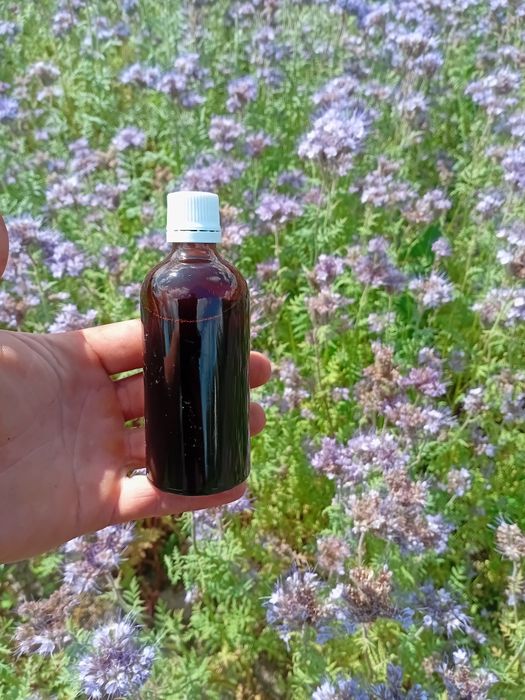 Підмор бджоли пчелиный подмор