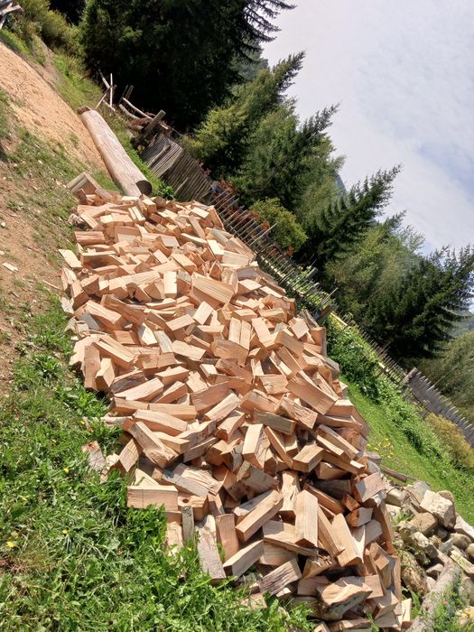 Продам дрова букові