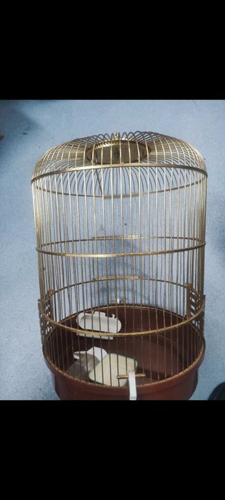 Gaiola dourada para pássaro