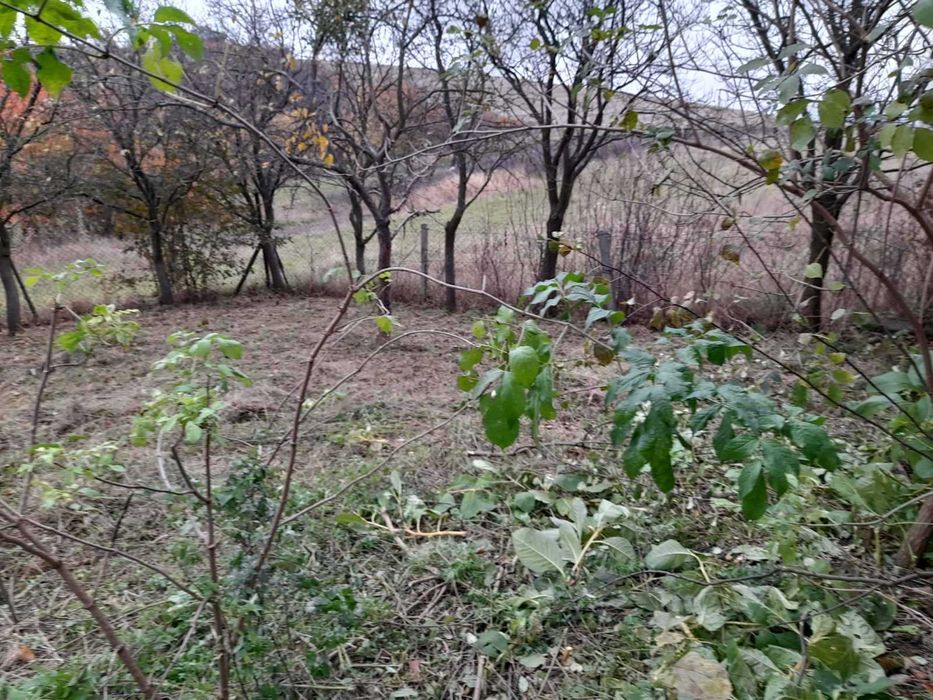 Продаж будинку в Туркотині ( Куровичі )