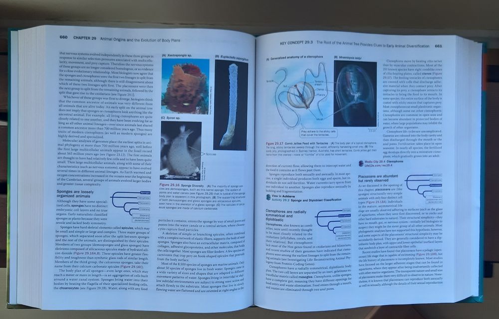 Life, The Science of Biology