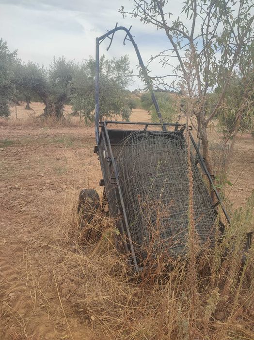 Vendo carroça em ferro
