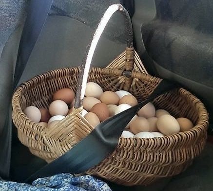 Kosze wiklinowe koszyki rękodzieło 35x40cm