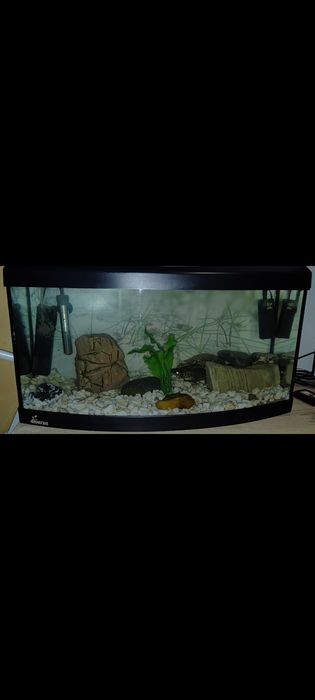 Akwarium panoramiczne 58l