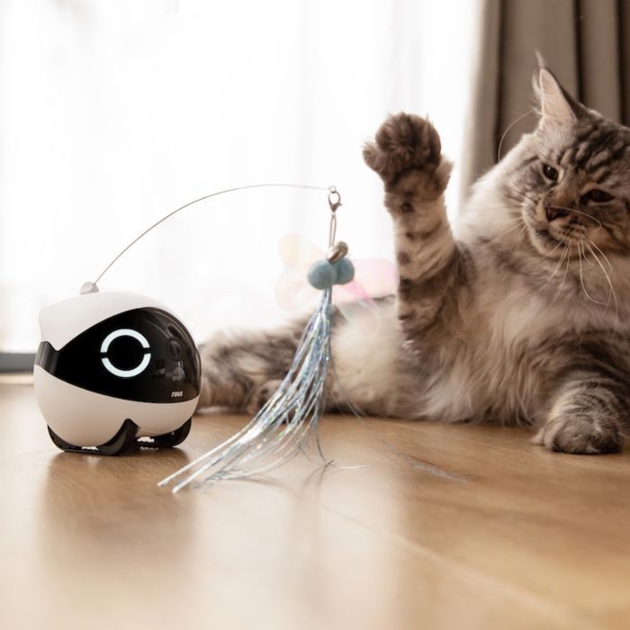 EnaBot Rola Mini - robot monitorujący dla psów i kotów