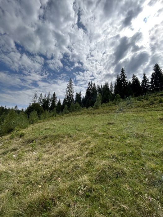 Продається 1.2 гектара з можливістю зміни цільового призначення