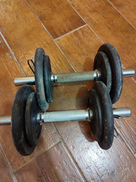 Halteres com 12 kg