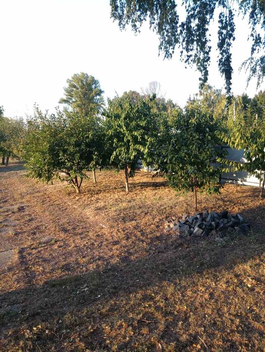 Комерійна нерухомість м.Шпола