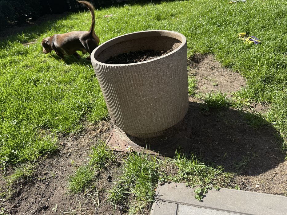 Donica szara ryflowana