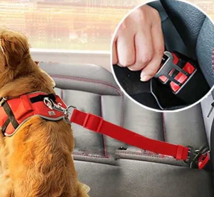 smycz-PASY bezpieczeństwa Do samochodu dla psa lub KOTA 80cm