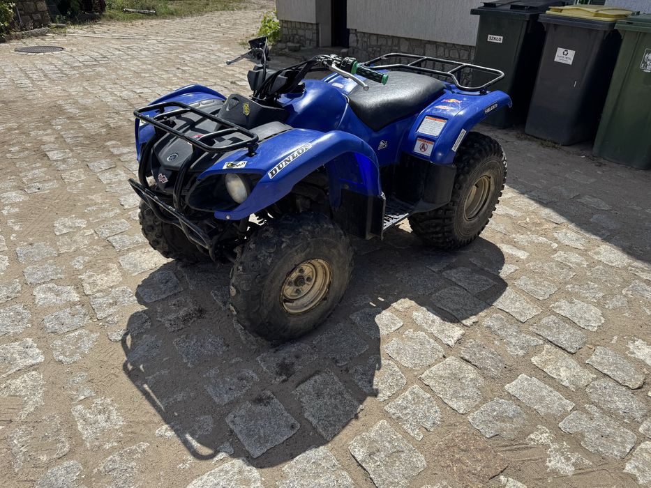 Yamaha grizzly 125