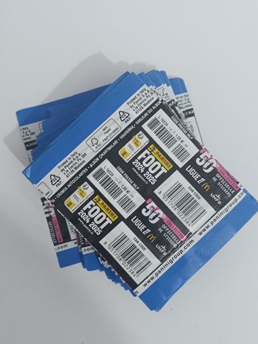Saquetas Liga Francesa Foot 24/25