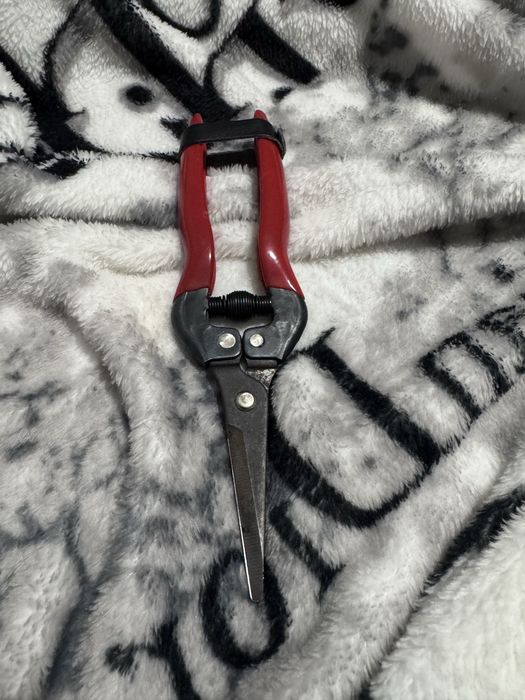 Sekator + nóz do tapet