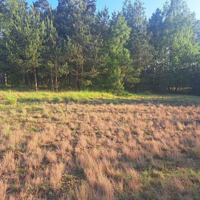 Działka budowlana przy  lesie z WZ-ką 179/3, 913m2