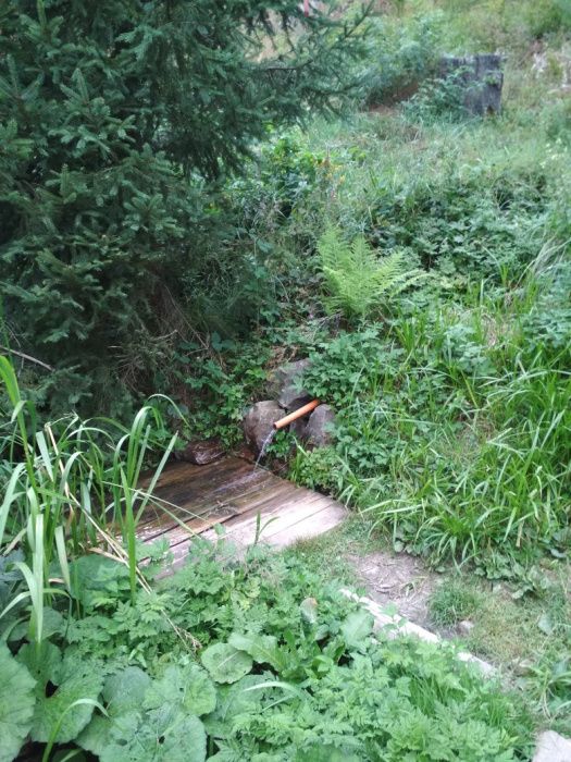 Котедж Анастасия.Новий рік вільно.