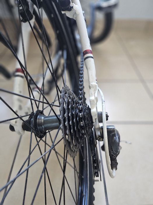 Rower Trek Alpha 24” –  MTB, 24 biegi Shimano, SR Suntour