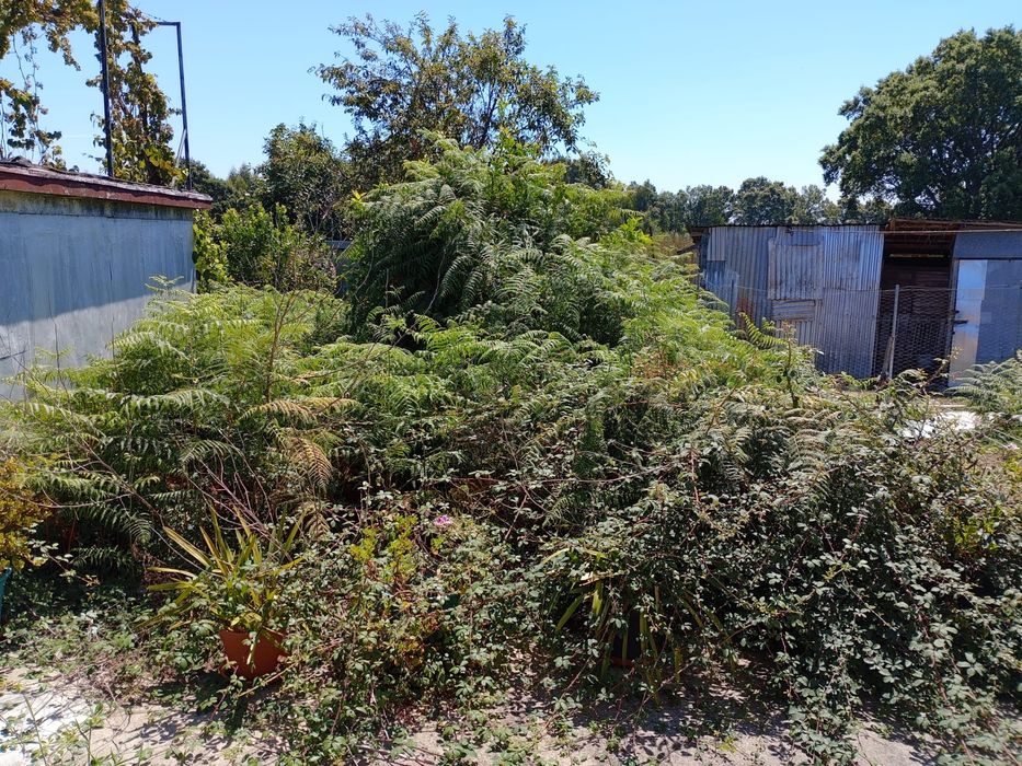 Serviços de Jardinagem