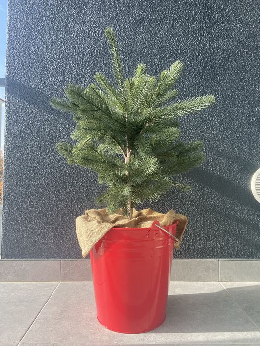 Árvore de natal com balde IKEA