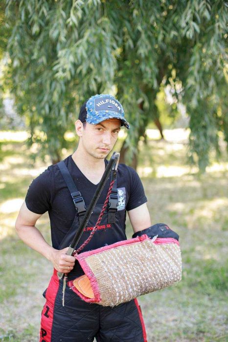 Кінолог | Дресирування собак | Чугуїв