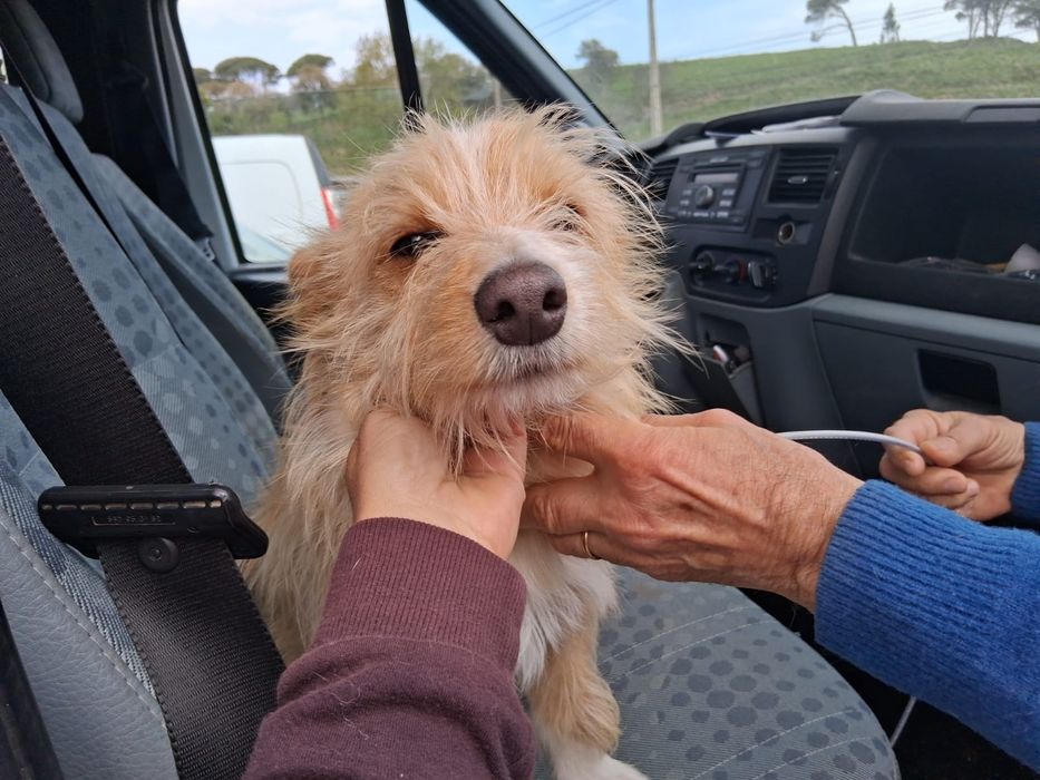 Amor de menino para família maravilhosa