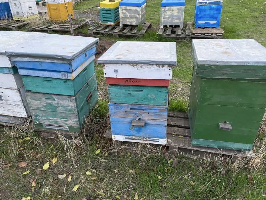 Продаю вулики 10 рамкові