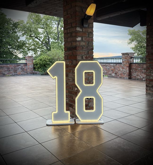 Cyfra Led 18 wynajem / 200 zł