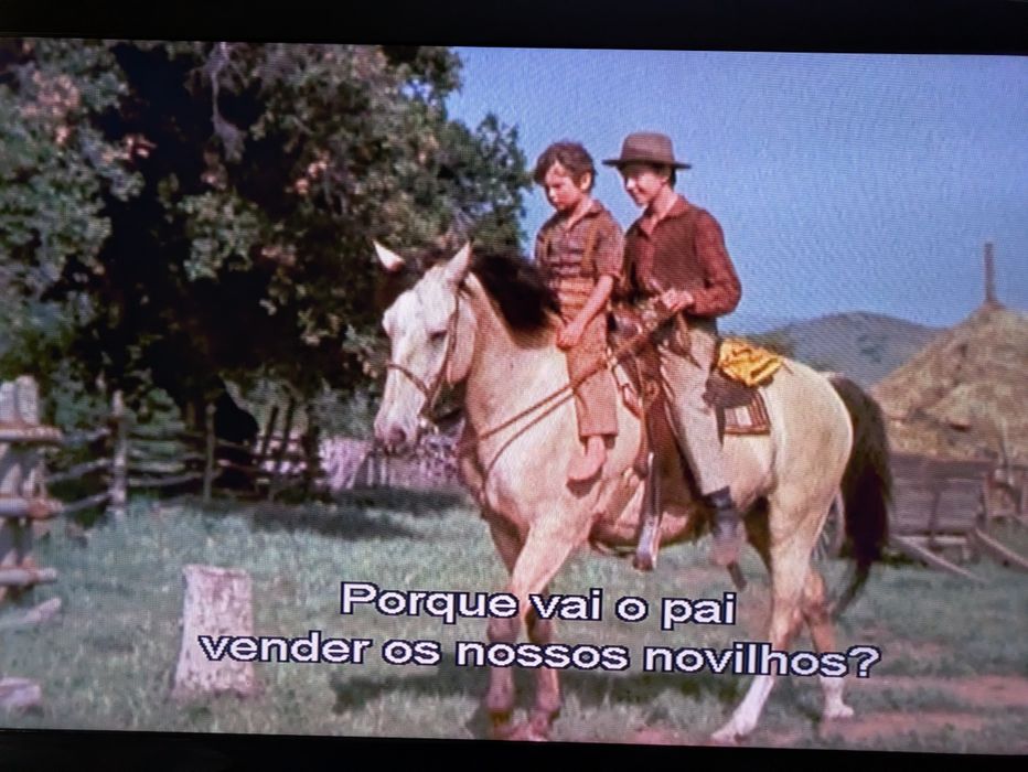 DVD " O Rapaz e o Cão | O Fiel Amigo " (Opt. Estado) 1957