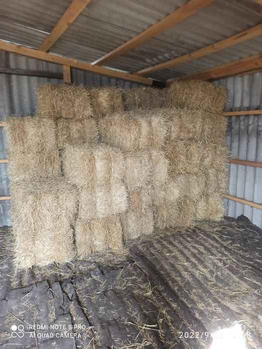 Продам сіно солому люцерну