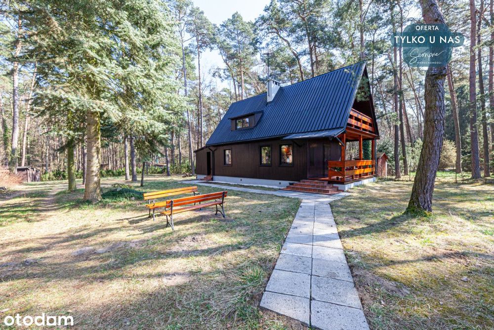Piękna działka z lasem i domem drewnianym
