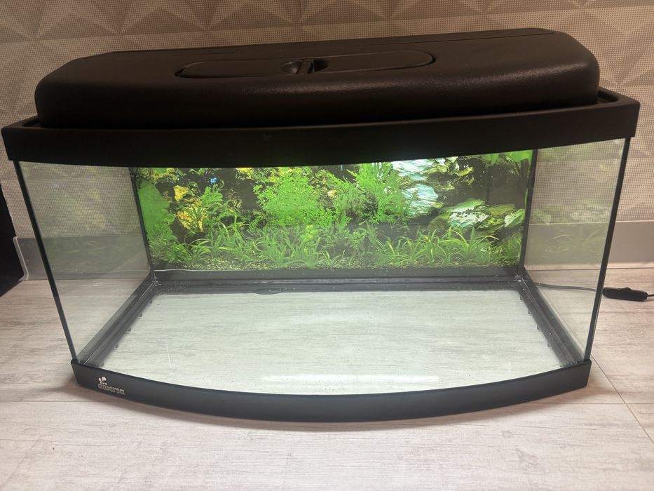 Akwarium 60l Diversa