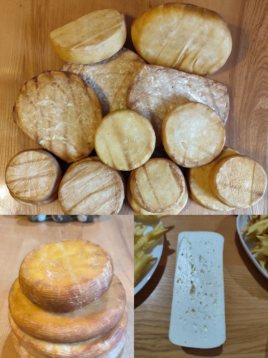 Молочна продукція,сир,масло,сир косичка,мішечки,будз,лабне,фета,коники