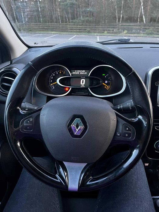 Renault Clio super stan