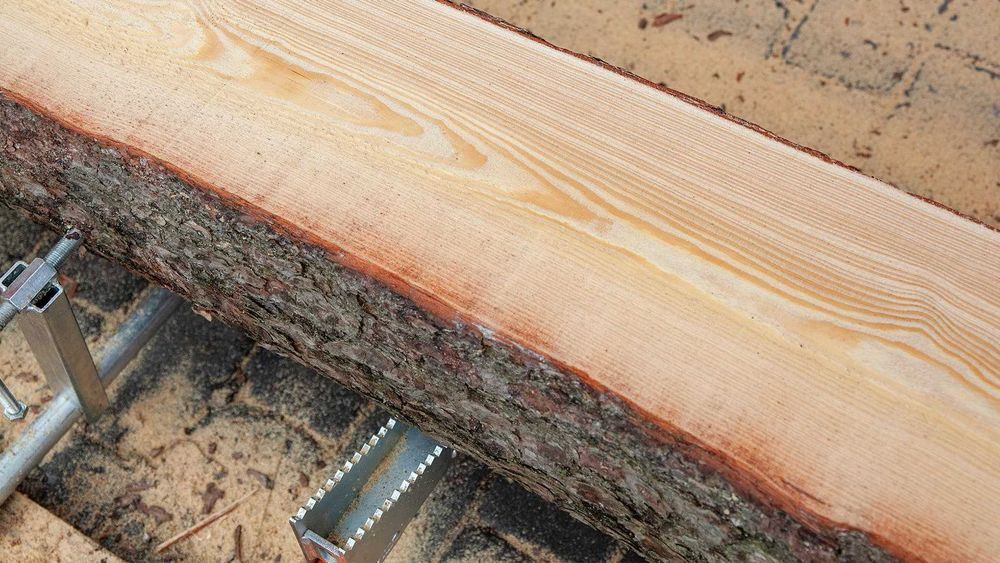 Trak taśmowy spalinowy Wood Mizer 9,5KM 560mm poziomy drewna KOHLER