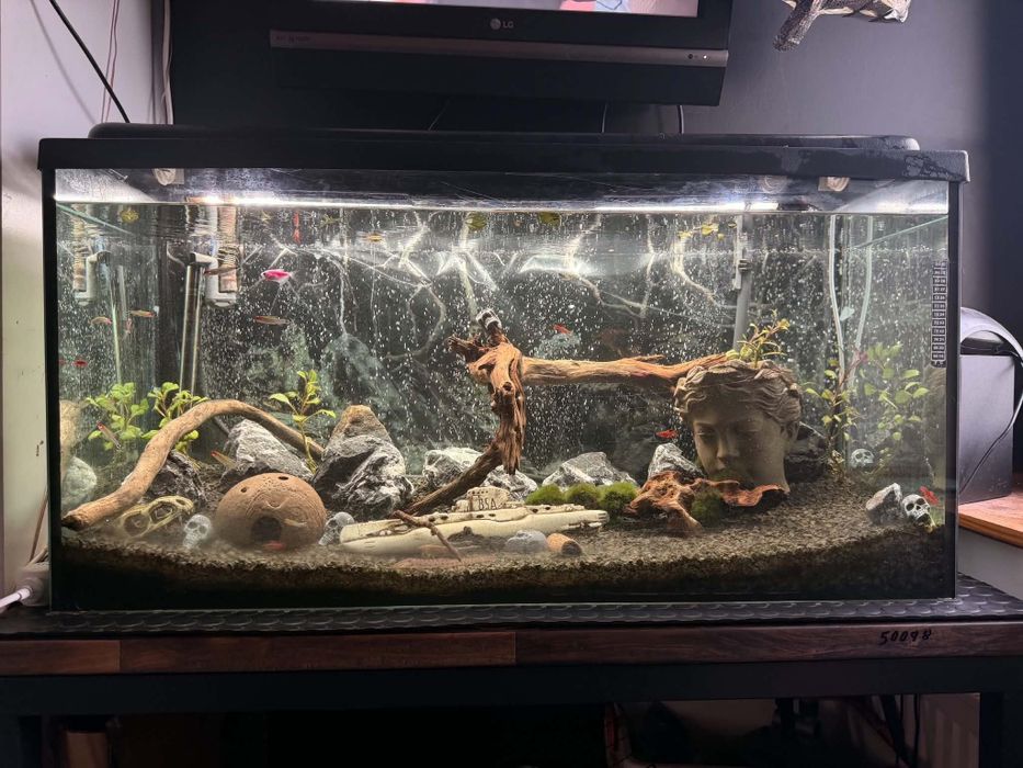 akwarium 200l   100x50x40