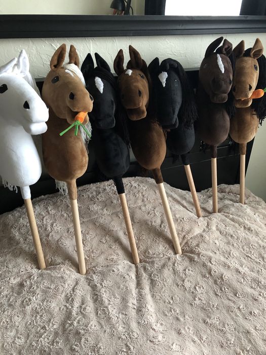 Hobby horse różne kolory