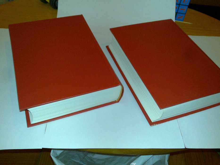 dicionário português-francês e francês-português -olívio cost carvalho