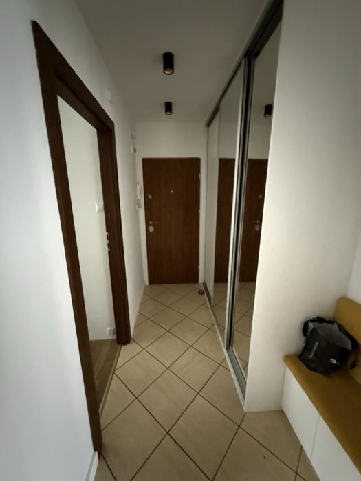 Wynajem mieszkania 39 m² - Więcej