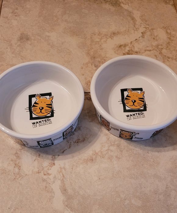 2 керамічні мисочки для котів для води та їжі.
