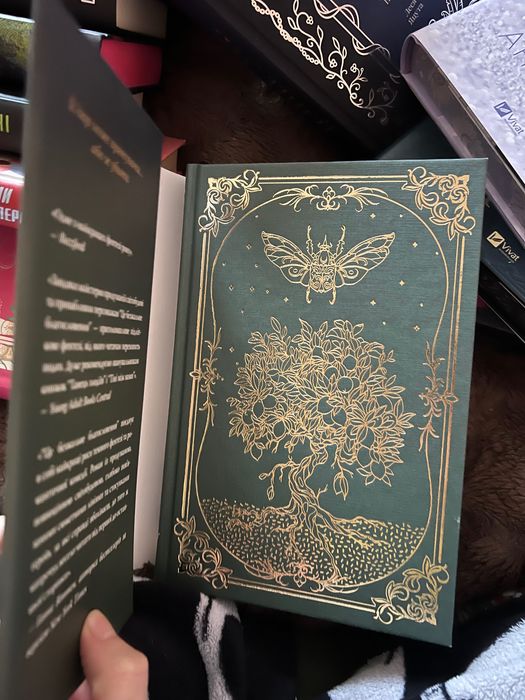 Книга "Це безжальне благословення" (фентезі, романтика)