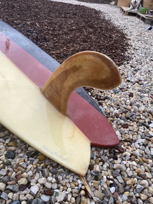 Longboard 9.0 fusion nose rider fish tail