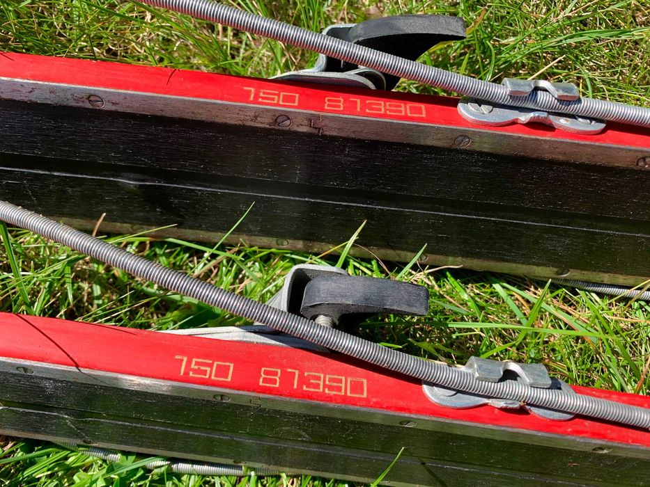 Narty POLSPORT REGLE 28 (150 cm) + kijki