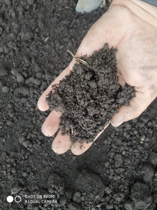 Ziemia wierzchniówka, czarnoziem pH 6,5-7