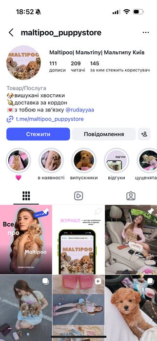 Ведмедик мальтіпу хлопчик міні
