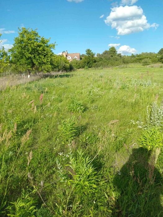 Продаж зем.діл.сг в с.Гута Межиг.