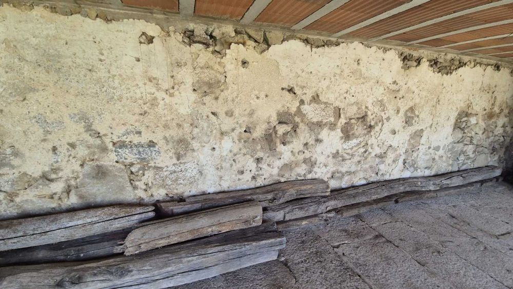 Vigas carvalho centenárias