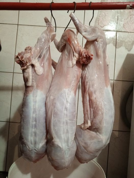 М'ясо кролика продам