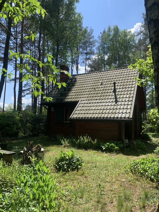 Magiczna Działka Blisko Plaży Nad Liwcem – 50 Min Od Warszawy | 1100 m² z Pięknym Domkiem - 5 min do PKP i rzeki Liwiec | Kaliska - Gmina Łochów - Widok 4