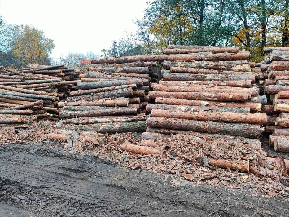 Drewno opałowe .