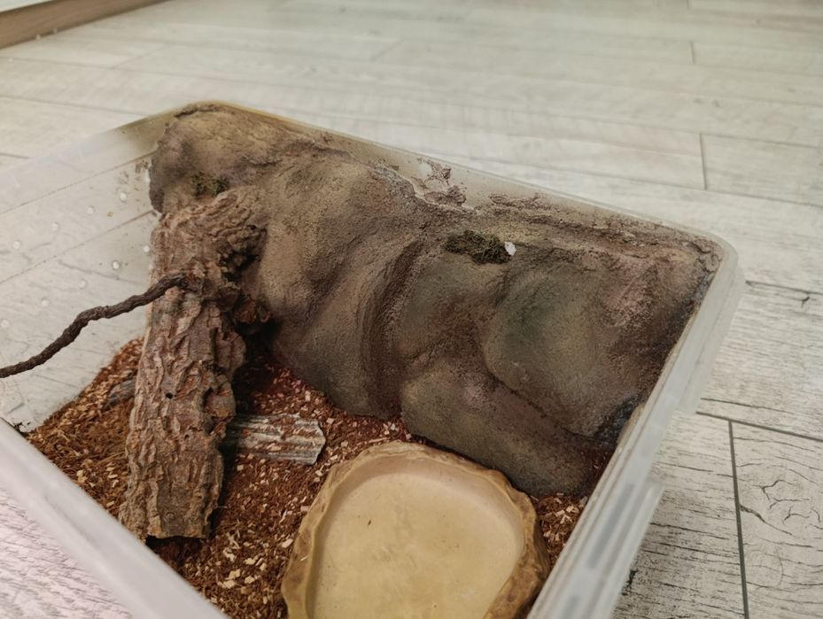 Terrarium Faunabox dla weża/gada